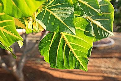 《守望先锋2》女团二期联动预告 3月19日正式上线