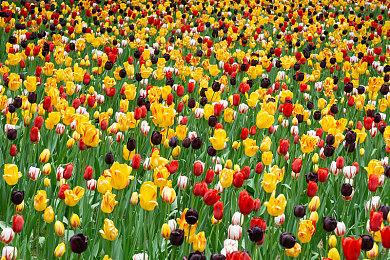 世纪天成官宣 《跑跑卡丁车》国服不会停更停服